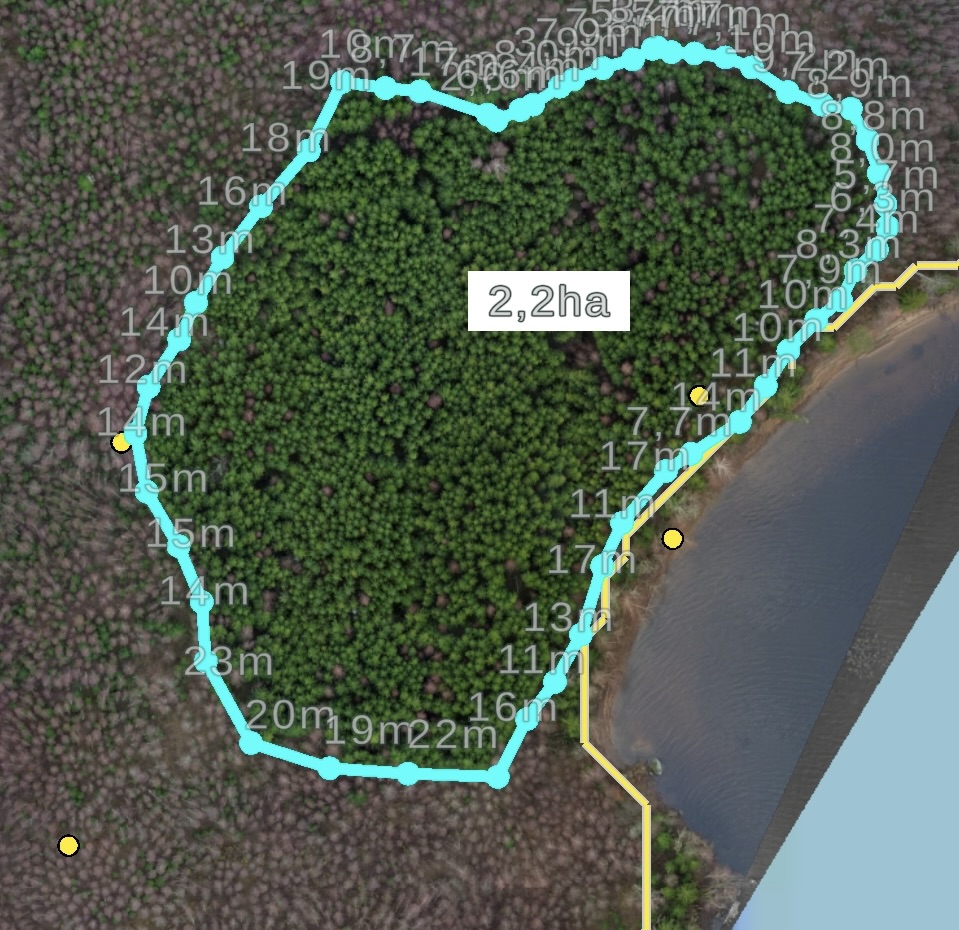 Ytmätning över ett skogsområde vid vattnet med blå markerad slinga, avstånd i meter och arean 2,2 hektar
