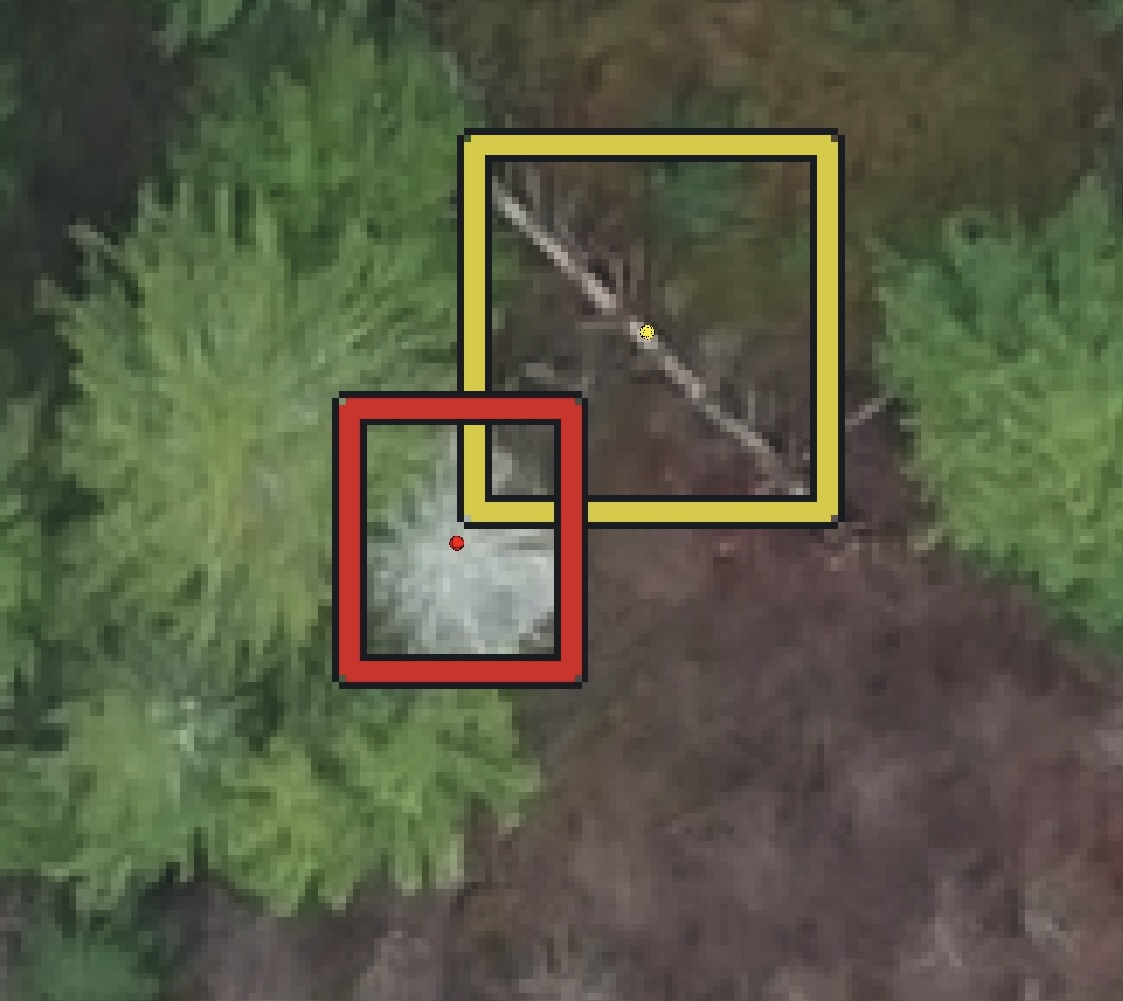 Ortofoto där en röd markering visar en död gran och en gul markering en vindfälla